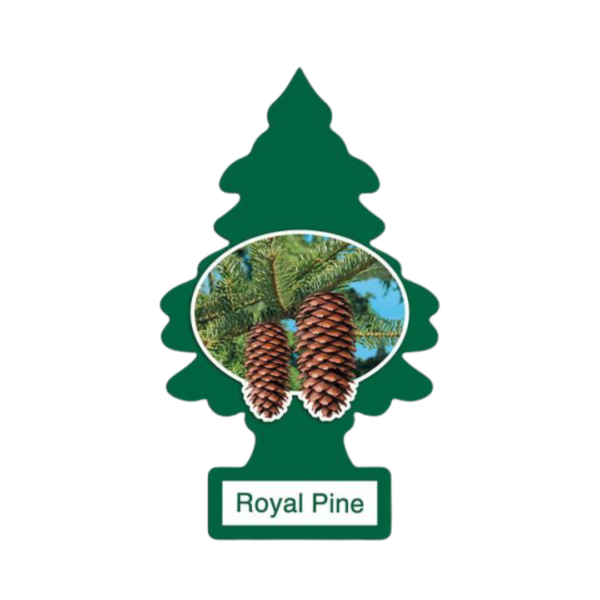 Little Trees Royal Pine Frescura Natural en Cada Viaje